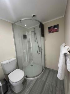 a bathroom with a shower and a toilet at Coromandel Seaview Motel in Coromandel Town +43 photos