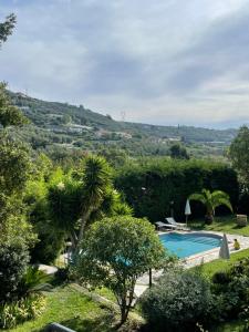 a view of a swimming pool in a garden with trees at Casa Didun -apart Bartume' in Dolcedo