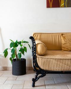 a rattan couch and a plant in a room at House With Jacuzzi Among Orchards In Cisternino in Cisternino +16 photos