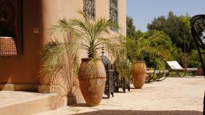 Riad Jardin des Orangers外面的花园
