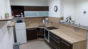 Fotografie z fotogalerie ubytování MiJa apartmán s VINNÝM SKLÍPKEM, zahradou a grilem v Kájově