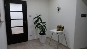 Fotografie z fotogalerie ubytování MiJa apartmán s VINNÝM SKLÍPKEM, zahradou a grilem v Kájově