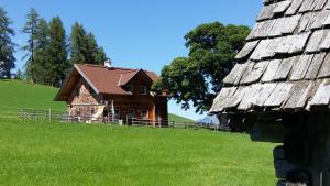 eine alte Scheune auf einem Hügel mit grünem Gras in der Unterkunft Ferienhaus Bichlhütte in Pruggern