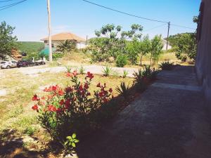 Fotografie z fotogalerie ubytování Apartments Monika v destinaci Vinišće