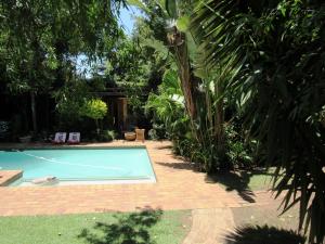 a swimming pool in the middle of a garden at House on York in Johannesburg