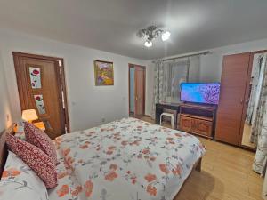 a bedroom with a bed and a flat screen tv at Casa Hera in Călimăneşti