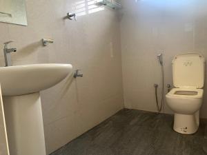 a bathroom with a sink and a toilet at New Papa Palace in Wattegama