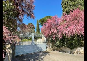 a white fence with pink flowering trees in front of it at Le Balze Camere in Villa in Perugia