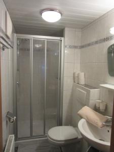 a bathroom with a shower and a toilet and a sink at Gasthof Waldrast in Zell am Ziller