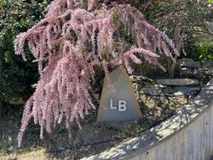 a pink plant with a lb sign on a fence at Le Balze Camere in Villa in Perugia