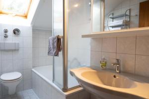 a bathroom with a sink and a toilet and a shower at Ferienwohnung Allgäu-Hilaria in Fischen