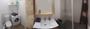 アヴィニョンにあるミニ ロフトのバスルーム(洗面台、トイレ、鏡付)