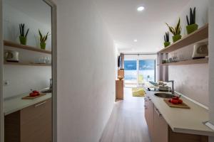 Kuchyň nebo kuchyňský kout v ubytování Apartments Holidays Roko