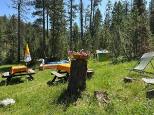 a picnic table with a flower pot on a tree stump at Bergunterkunft Ova Spin in Zernez +1 photo