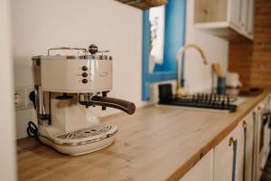 a mixer sitting on top of a kitchen counter at Heritage Guesthouse in Bartoştana +20 photos