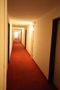 Foto dalla galleria di New renovated apartment in center of Davos a Davos