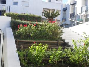 A garden outside Alcaraván 32