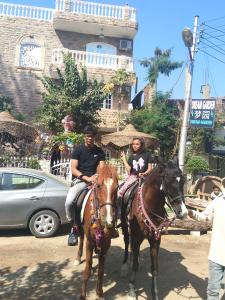 two people riding on a horse drawn carriage at Dream Garden Luxor in Luxor