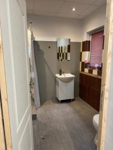 a bathroom with a sink and a toilet at Vila Ispirescu INN in Cluj-Napoca +25 photos