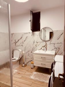 a bathroom with a toilet and a sink and a mirror at Andrei's house in Sinaia
