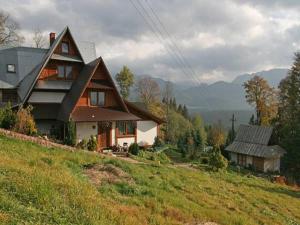 a house sitting on top of a grassy hill at Willa Janosik in Witów