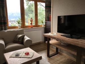 Televízia a/alebo spoločenská miestnosť v ubytovaní Apartament KościeliSKI