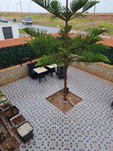 a small palm tree sitting on a tiled patio at Adnani in Temara