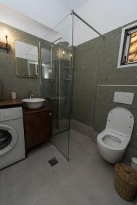 a bathroom with a shower and a toilet and a sink at Salla Chiotis in Karpathos +39 photos