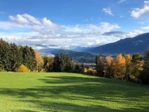 a large green field with trees and mountains in the background at Bergbauernhof Stauder - Hirschbergalpakas in Lendorf +22 photos