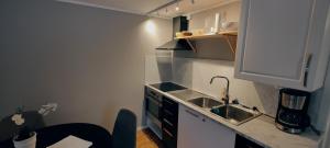 a small kitchen with a sink and a counter at Snäckstrand Guesthouse in Färjestaden