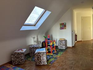 a attic room with a skylight and boxes on the floor at Vakantiewoning Pelterheggen in Grote Heide