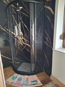 a shower in a bathroom with a black marble wall at La Vie en Rose in Ensival