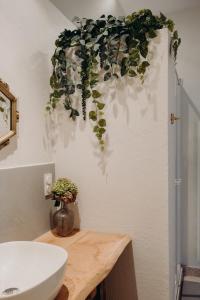 a bathroom with a sink and a plant on the wall at La Marmittiere in Civray-de-Touraine +29 photos