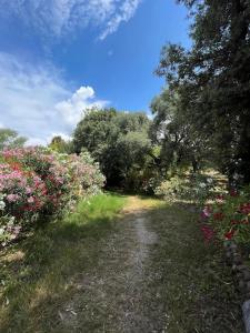 a dirt road with flowers and trees on a field at ZEcamping 2 piscine animaux acceptés in Galeria