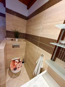 a bathroom with a toilet and a sink at Erika's House. in Érd +65 photos