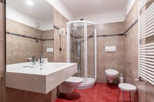 a bathroom with a sink and a shower and a toilet at Cesa Primula in Canazei +9 photos