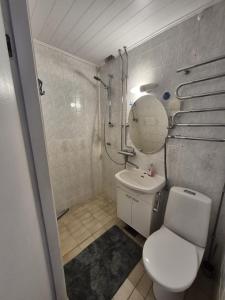 a bathroom with a toilet and a sink and a mirror at Central Kauppakatu Apartment in Joensuu