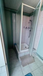 a bathroom with a shower with a glass door at Logement - maison d'hôtes Communay in Communay