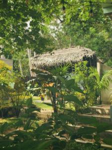 a hut with a straw roof in a garden at Eagle Point Riverside Stay in Weligama