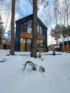 a house in the snow next to two trees at Leśne Domki in Życiny