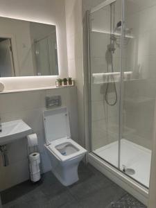 a bathroom with a shower and a toilet and a sink at Modern-Spacious Dublin Apartment in Dublin