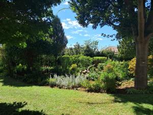 a garden with many plants and a tree at Eenvoud in Rosendal
