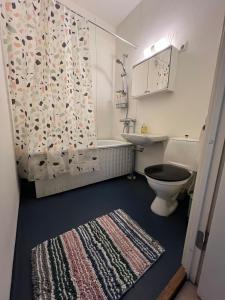 a bathroom with a toilet and a shower curtain at Cozy studio with a good location in Lappeenranta
