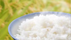 a bowl of white rice sitting on a table at Niigata City Hotel in Niigata +31 photos