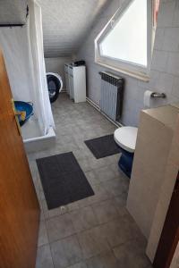 a small bathroom with a toilet and a window at Gacka idila 2 in Otočac +21 photos