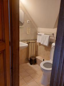 a small bathroom with a toilet and a sink at Berki Vendéglő és Hotel in Körmend +44 photos