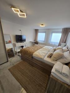 a bedroom with a large bed and a television at Bella Vista in Stažnjevci