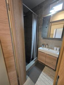 a bathroom with a shower and a sink and a mirror at Bella Vista in Stažnjevci +52 photos