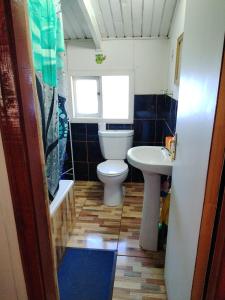 a bathroom with a toilet and a sink at Hospedajes y Cabañas Marisol in Curacautín