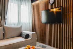 a living room with a couch and a television on a wall at Vila Ramonda in Žabljak